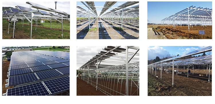 agricultura solar.jpg