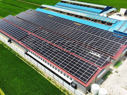 400KW - Solución solar en la azotea en Corea