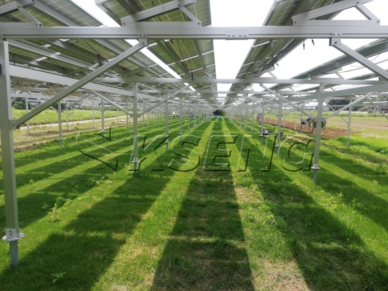 Un artículo sobre sistemas fotovoltaicos agrícolas complementarios